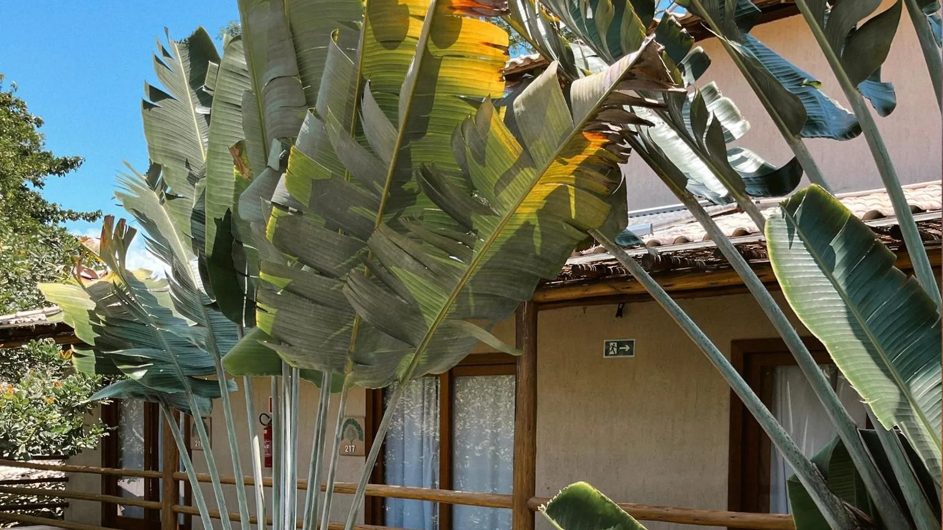 Ravenala Hotel Porto Seguro
